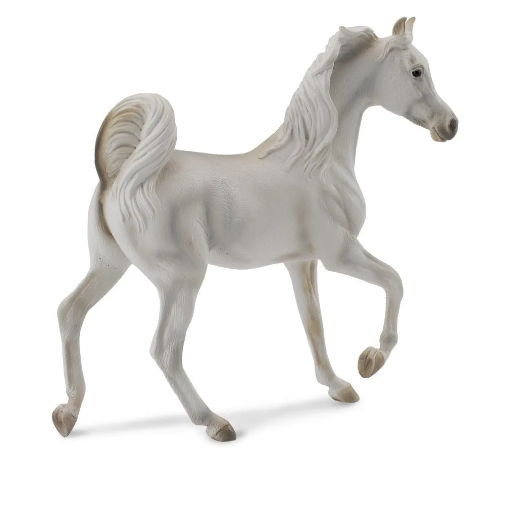 Arabian Mare Grey