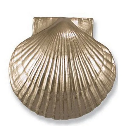 Beach Cottage Scallop Shell Door Knocker