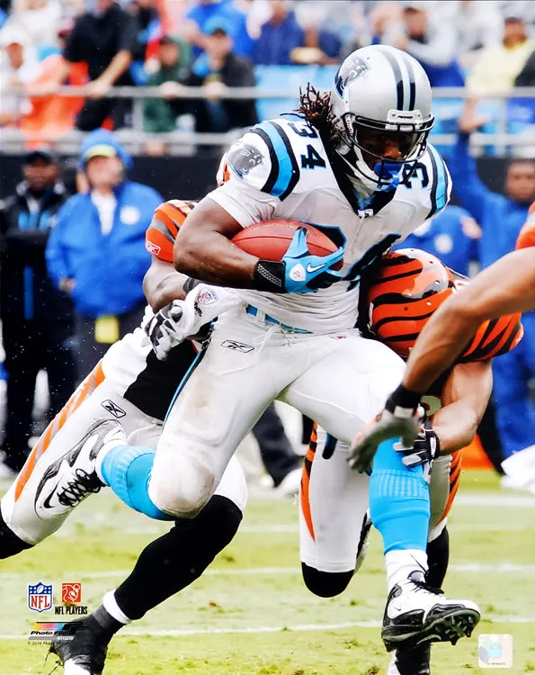 DeAngelo Williams "Big Gain" Carolina Panthers Premium Poster Print - Photofile 16x20