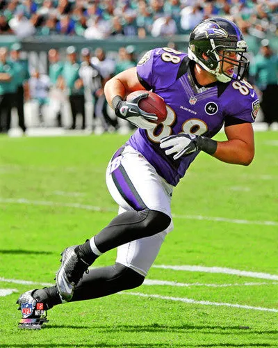 Dennis Pitta "Ravens Action" (2012) Poster Print - Photofile 16x20