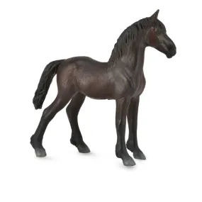 Friesian Foal - Black