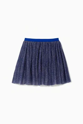 Shimmer Pleated Skirt